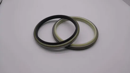 Hydraulic Cylinder NBR + Metal Dust Oil Seals for Hydraulic Sealing Wiper Seals Dkb